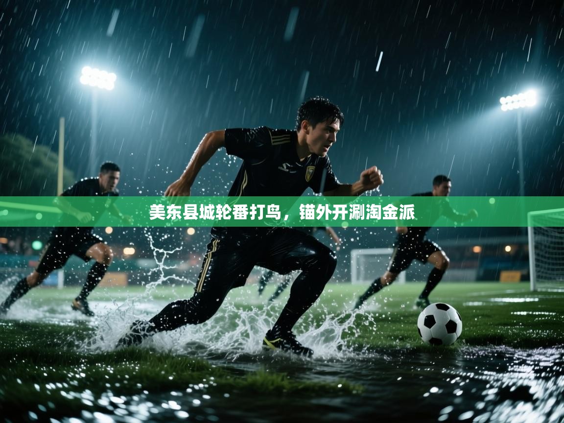 美东县城轮番打鸟，锚外开涮淘金派  第2张