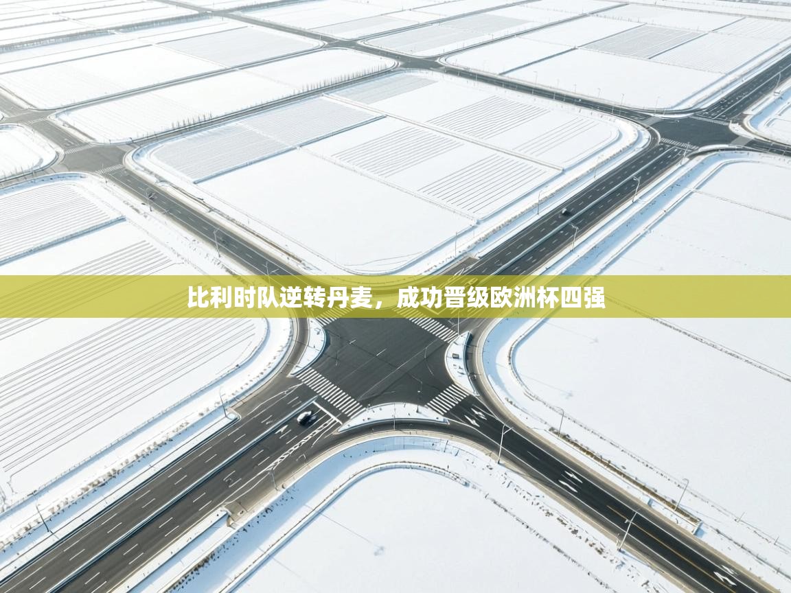 比利时队逆转丹麦,成功晋级欧洲杯四强 第1张