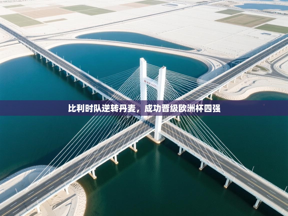 比利时队逆转丹麦,成功晋级欧洲杯四强 第2张