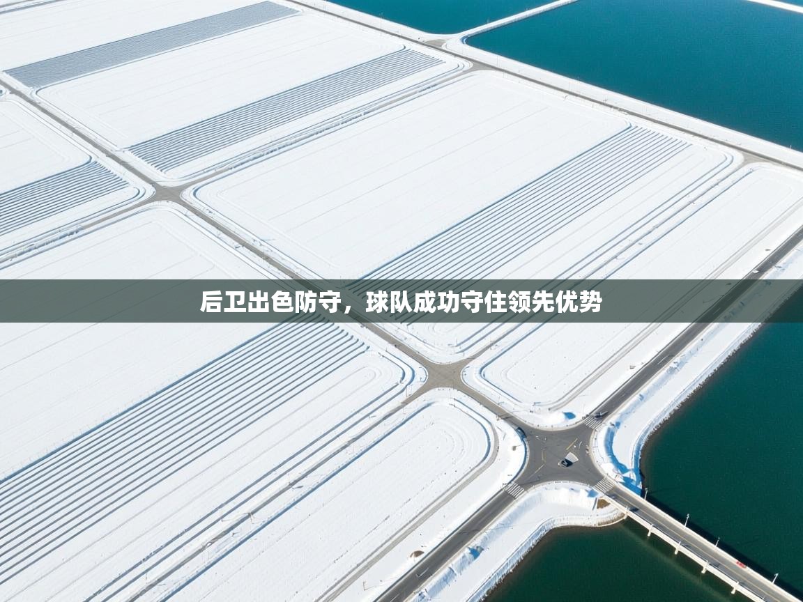 后卫出色防守，球队成功守住领先优势  第2张