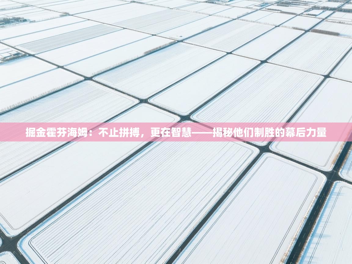 掘金霍芬海姆:不止拼搏,更在智慧——揭秘他们制胜的幕后力量 第1张