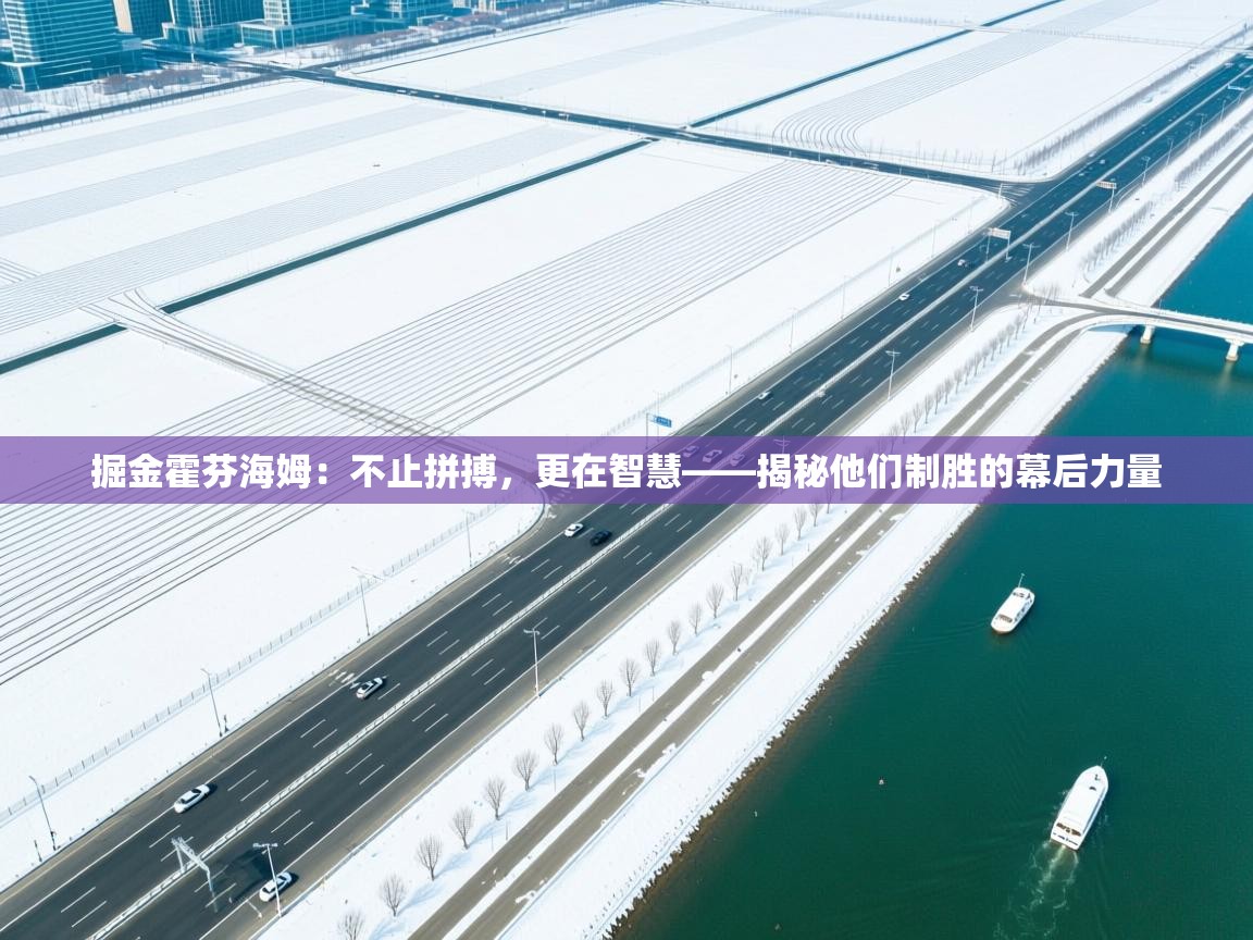 掘金霍芬海姆:不止拼搏,更在智慧——揭秘他们制胜的幕后力量 第2张