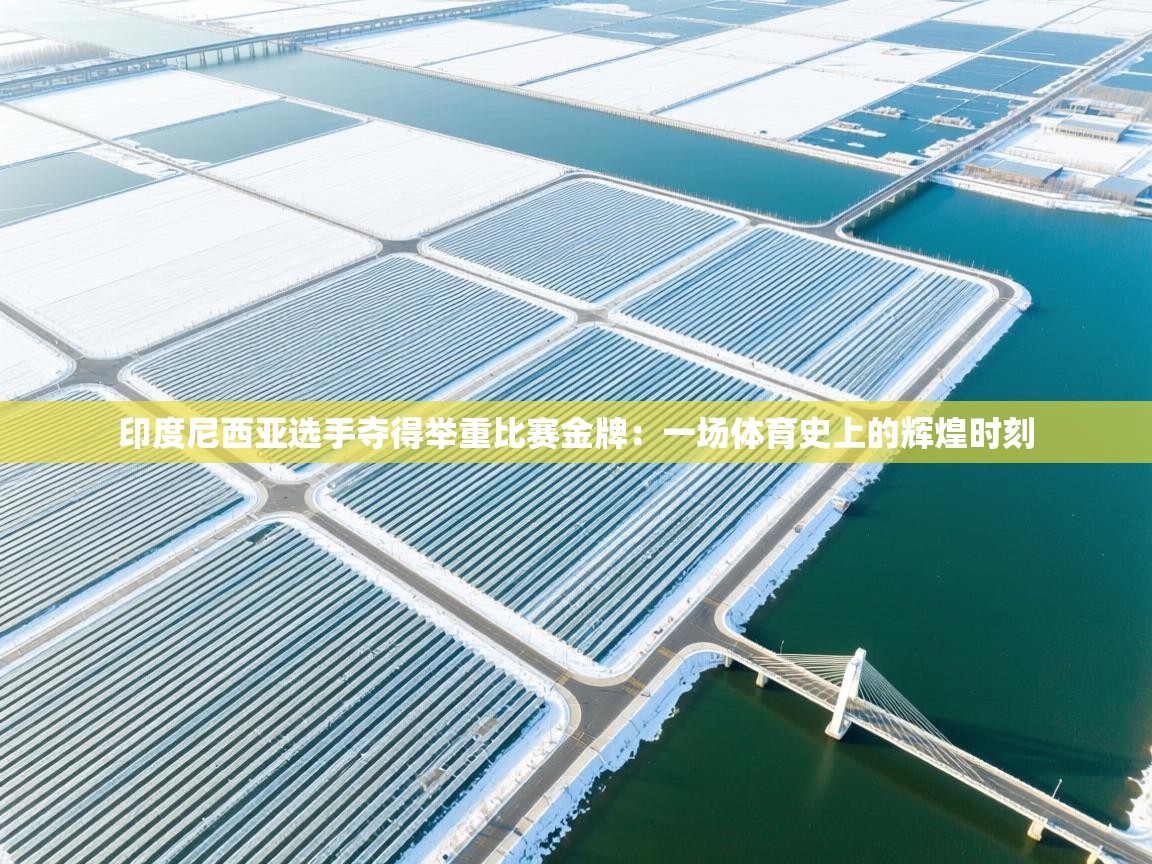 印度尼西亚选手夺得举重比赛金牌:一场体育史上的辉煌时刻 第2张