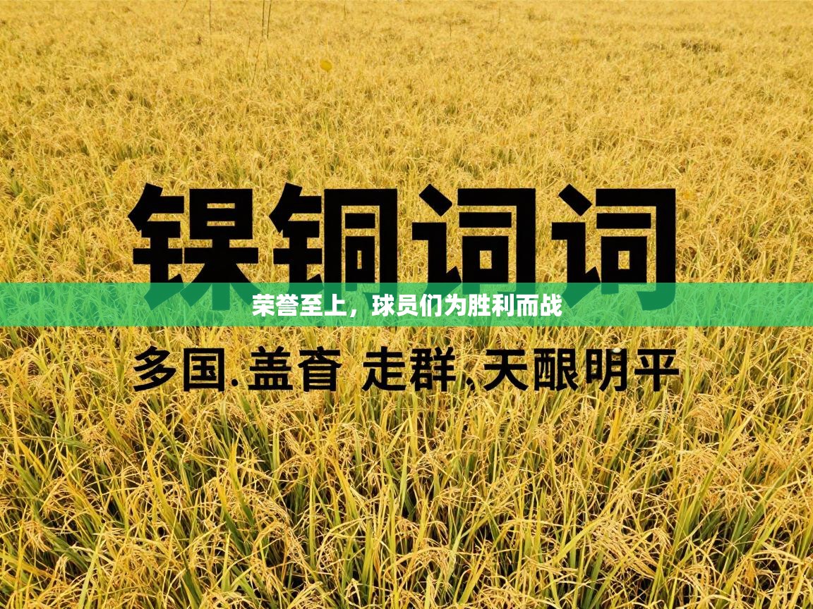 荣誉至上，球员们为胜利而战  第1张