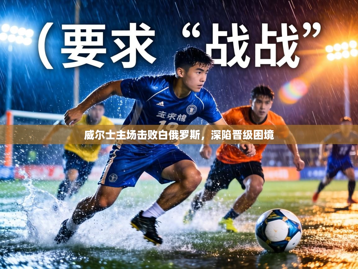 威尔士主场击败白俄罗斯,深陷晋级困境 第2张